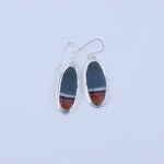 Load image into Gallery viewer, Picture Jasper Earrings
