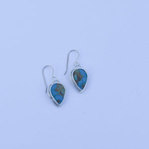 New Mexico Turquoise Earrings